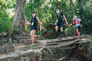 BIB: 
                            <button type="button" onclick="openModal(27746186)" class="btn btn-primary btn-sm float-right btn-popup" data-toggle="modal" data-target=".modal-high-quality">
                        <i class="fas fa-shopping-cart"></i> Add to Cart
                    </button>
                                            <button type="button" onclick="isThisMe(27746186, true)" class="btn btn-success btn-sm float-right btn-popup btn-isme hidden" data-toggle="tooltip" data-placement="bottom" title="นี่คือรูปของคุณใช่ไหม คลิกที่นี่เพื่อเอาเข้าอัลบั้ม">
                        <i class="fas fa-plus"></i> Add to album
                    </button>
                    <button type="button" onclick="isThisMe(27746186, false)" class="btn btn-warning btn-sm float-right btn-popup btn-isnotme hidden">
                        <i class="fas fa-ban"></i> Remove from album
                    </button>